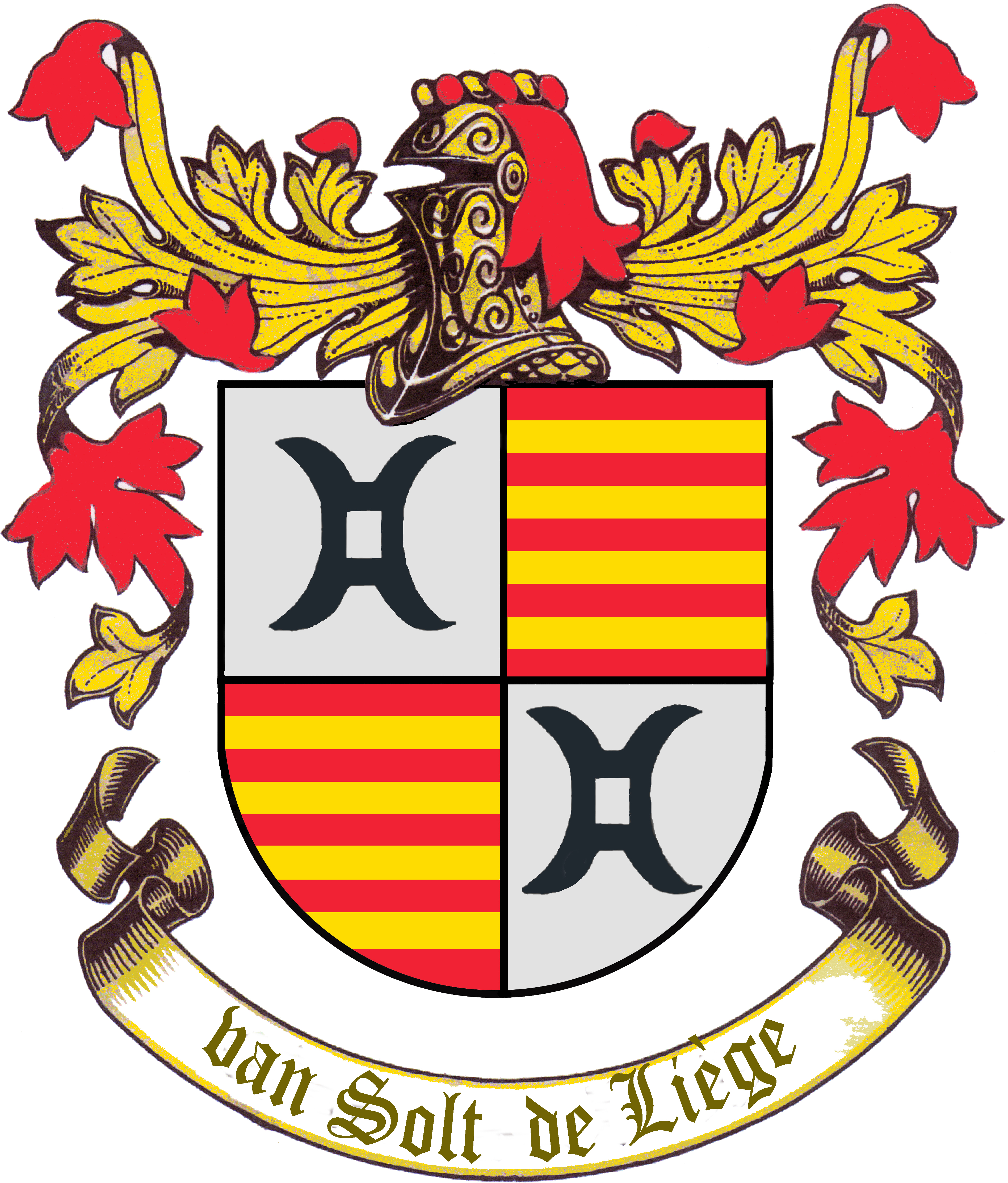 familiewapen_van_solt_de_liege.jpg